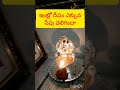 ఇంట్లో దీపం ఎక్కువ సేపు వెలిగిందా pariharalu chaganti devotional laxmidevitipsintelugu yt telugu