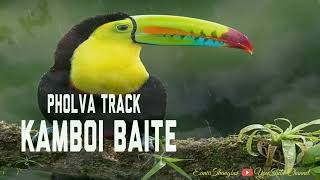 PHOLVA PHOLVA||TRACK || KAMBOI BAITE