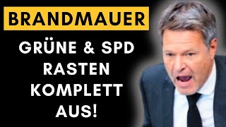 CDU + AfD: Grüne \u0026 SPD laufen Sturm und heulen rum!