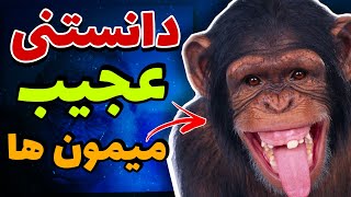 دانستنی ها | دانستنی عجیب و غریب درباره میمون ها | میمون ها