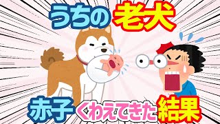 【2ch動物ほのぼの話3連発】うちの老犬が産まれたての赤ちゃんをくわえて帰ってきた→その後