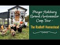 Meyer Hatchery Brand Ambassador Coop Tour - The Radloff Homestead!