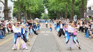 よさこい＊こんぺいとう 📍よさこい祭りin光が丘公園 (パレード①) 2024-07-14T16:00