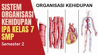 Sistem Organisasi Kehidupan - IPA Kelas 7 SMP