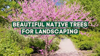 5 Native Trees That Will Beautify Your Landscape 🌳🏠🌲 PlantDo Home \u0026 Garden