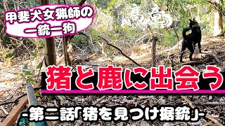 甲斐犬女猟師の一銃一狗 第二話「猪を見つけ据銃」Japanese hunting kaidog