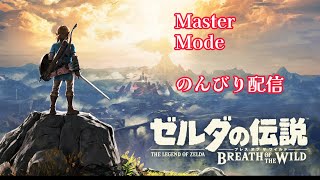 #ブレワイ#master Mode  バグなしの奇麗なデータでやりたい。