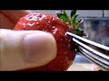 strawberry　役立つ？包丁を使わずにイチゴのヘタを取る方法