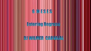 6 meses Cumbia Remix DJ Wilmer Carvajal