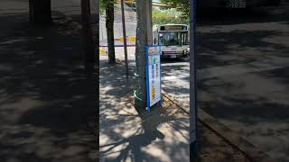 [Keio Bus/Medical Center Bus Stop (Hachioji City, Tokyo) [July 2023]]