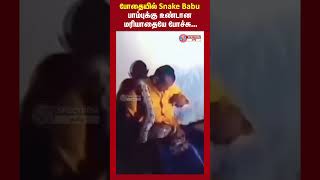 அடேய் நான் பாம்பு டா Snake பாபு கிட்டயேவா #viralsnake #snakebabu #funny #viral #viralshorts