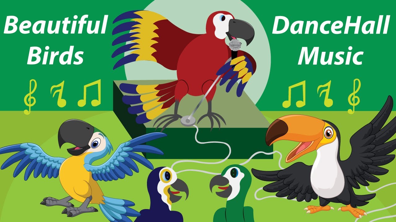 Best Bird Dance Moves Of The Century Compilation Bbdhm Song Youtube