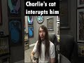 Charlie's cat interrupts him