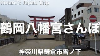 神奈川さんぽ 鶴岡八幡宮さんぽ【神奈川県鎌倉市雪ノ下】2023/2 お参りさんぽ