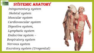 ANA  OF ANATOMY By Dr. Nishigandha Sadamate