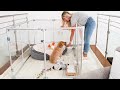 modern lucidium dog pens features of your pet s penthouse clearly loved pets