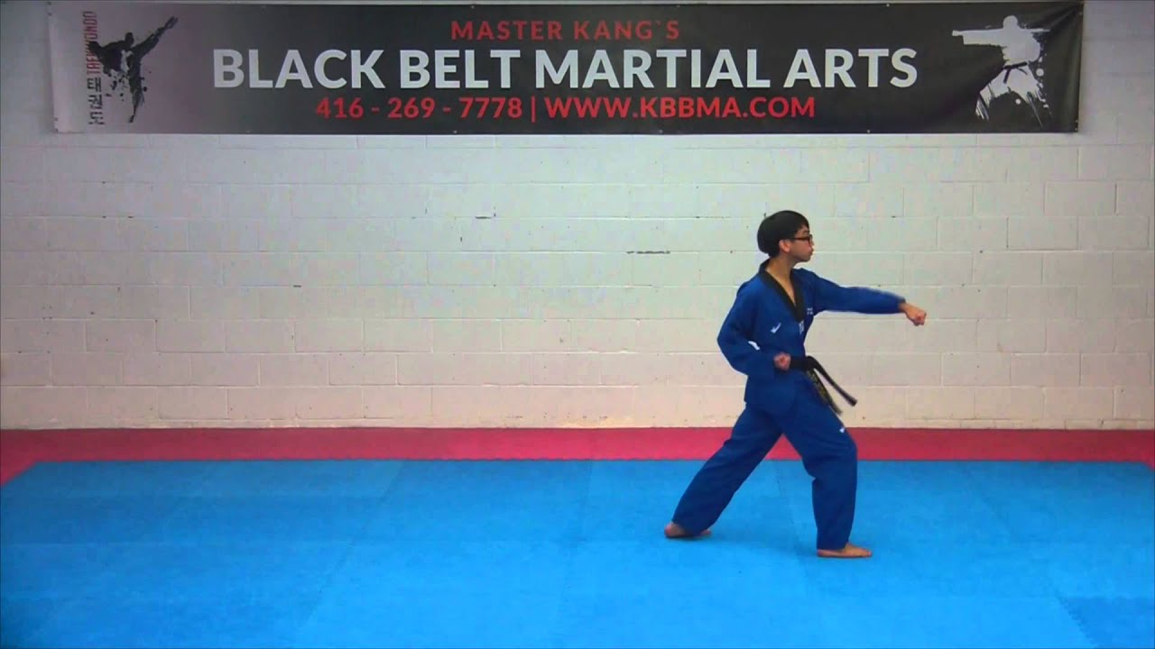 Purple Belt Poomsae Taegeuk 3jang Youtube