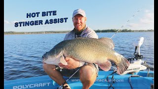 Hot Bite Stinger Assist hook for Murray cod