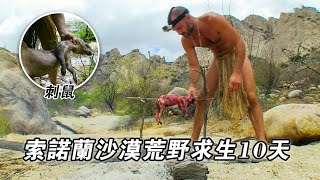 亞利桑那沙漠​​挑戰荒野求生，狩獵八斤臭鼬，雨林撿只刺鼠盒飯，海島烹飪燕窩魚湯！紀錄片