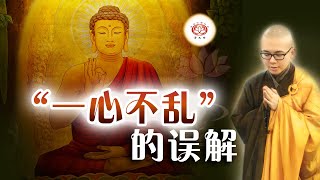 “一心不乱”的误解  👼 | 净本法师 主讲