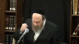 Shiur By Rabbi Moshe Weinberger Shlita