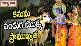 కనుమ (కనుము) పండుగ యొక్క ప్రాముఖ్యత || కనుమ అంటే అర్థమేమిటి ? || Significance of Kanuma Festival