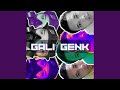 Gali Genk