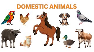 Domestic Animals | Domestic Animals in English | Domestic Animals Name | Domestic animals for kids