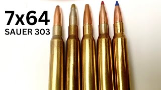 Best 7x64 ammo for Sauer 303