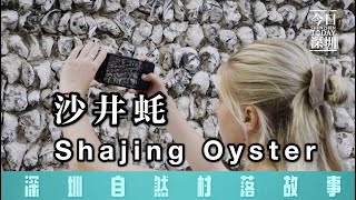 【深圳自然村落故事】Stories in SHENZHEN Villages—— Shajing Oyster（2020）