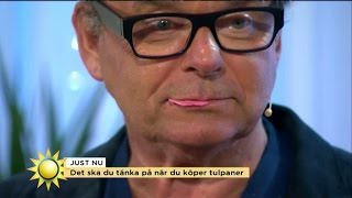 Steffos tulpanchock: "Jag steker dem i smör och har på fläskkotletten" - Nyhetsmorgon (TV4)