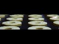 BVT Dough Process Solutions - Donut Lines