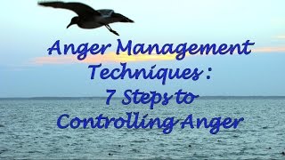 Anger Management Techniques: 7 Steps to Controlling Anger