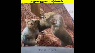 பாவம்டா அந்த முதலை