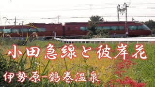 【新車両所予定地】小田急線と彼岸花＜2019＞通常9月中旬～　小田急小田原線＜伊勢原～鶴巻温泉間＞伊勢原市笠窪