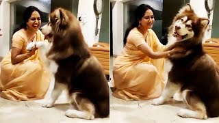 Singer Sunitha Playing With Her Pet Dog | Sunitha Latest Video | News Buzz