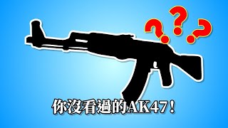 你沒看過的AK47！CSGO介紹「我是SpiraL」