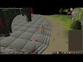 pet dagannoth prime on 4th kill