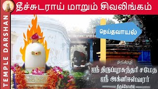 தீச்சுடராய் மாறும் சிவலிங்கம்  | Agneeswarar Temple Neidavoyil | sivan koil | #templedarshan