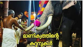 Chemmarappallil Manikyam, Kumki film actor Chemmarappallil Manikyam at Kallooppara Devi Temple