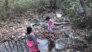 [진안고원 산골일기] 봄봄봄/수선화/나물캐기/물위걷기/인간극장김길수/다큐공감/진안고원