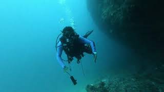 Hearing Laughter under Water after shooting a puffer fish