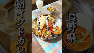 コスパ最高！多彩なスパイスを使った本格インドカレー #長野 #長野グルメ #松本市 #スパイスカレー