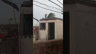 ranchi storm video | fast wind blowing in ranchi |