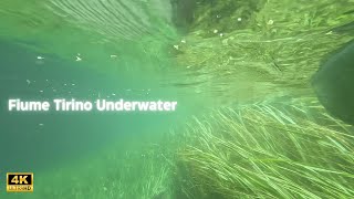 Fiume Tirino River - Underwater With Natural Sound In 4K