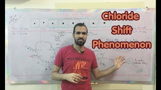 Chloride Shift Phenomenon