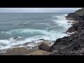 having positive energy in freshwater beach sydney 4k view