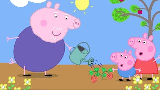 Peppa Pig in Hindi - Gaardaning - हिंदी Kahaniya - Hindi Cartoons for Kids