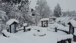 Kräftiger Schneefall in Österreich