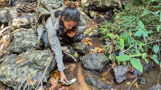 Assessing Water Quality in Myristica Swamp Forests